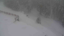 Přístup na běžeckou trať