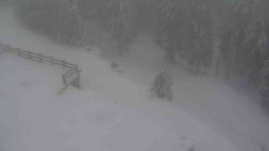 Sporthotel Kurzovní - Přístup na běžeckou trať - 22.2.2026 v 09:40 Sporthotel Kurzovní - Přístup na běžeckou trať - 22.2.2026 v 09:40