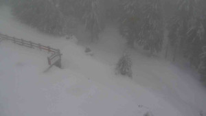 Sporthotel Kurzovní - Přístup na běžeckou trať - 22.2.2026 v 09:45 Sporthotel Kurzovní - Přístup na běžeckou trať - 22.2.2026 v 09:45