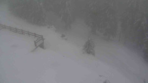 Sporthotel Kurzovní - Přístup na běžeckou trať - 22.2.2026 v 10:10 Sporthotel Kurzovní - Přístup na běžeckou trať - 22.2.2026 v 10:10