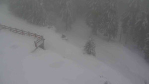 Sporthotel Kurzovní - Přístup na běžeckou trať - 22.2.2026 v 10:15 Sporthotel Kurzovní - Přístup na běžeckou trať - 22.2.2026 v 10:15