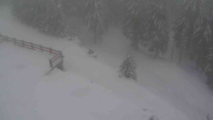 Sporthotel Kurzovní - Přístup na běžeckou trať - 22.2.2026 v 10:20 Sporthotel Kurzovní - Přístup na běžeckou trať - 22.2.2026 v 10:20