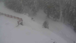 Přístup na běžeckou trať