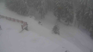 Sporthotel Kurzovní - Přístup na běžeckou trať - 22.2.2026 v 11:10 Sporthotel Kurzovní - Přístup na běžeckou trať - 22.2.2026 v 11:10