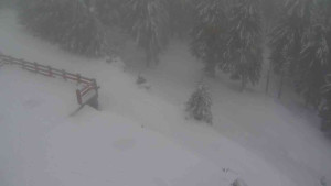 Sporthotel Kurzovní - Přístup na běžeckou trať - 22.2.2026 v 11:15 Sporthotel Kurzovní - Přístup na běžeckou trať - 22.2.2026 v 11:15