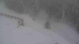 Sporthotel Kurzovní - Přístup na běžeckou trať - 22.2.2026 v 11:30 Sporthotel Kurzovní - Přístup na běžeckou trať - 22.2.2026 v 11:30