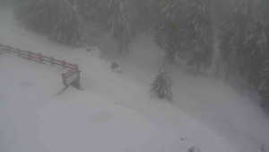 Sporthotel Kurzovní - Přístup na běžeckou trať - 22.2.2026 v 11:50 Sporthotel Kurzovní - Přístup na běžeckou trať - 22.2.2026 v 11:50