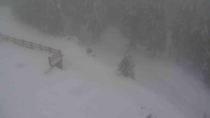 Sporthotel Kurzovní - Přístup na běžeckou trať - 22.2.2026 v 12:20 Sporthotel Kurzovní - Přístup na běžeckou trať - 22.2.2026 v 12:20