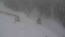 Přístup na běžeckou trať