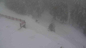 Sporthotel Kurzovní - Přístup na běžeckou trať - 22.2.2026 v 12:45 Sporthotel Kurzovní - Přístup na běžeckou trať - 22.2.2026 v 12:45