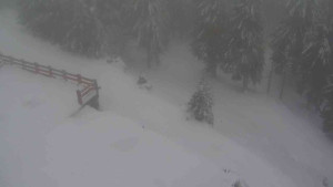 Sporthotel Kurzovní - Přístup na běžeckou trať - 22.2.2026 v 12:50 Sporthotel Kurzovní - Přístup na běžeckou trať - 22.2.2026 v 12:50