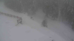 Sporthotel Kurzovní - Přístup na běžeckou trať - 22.2.2026 v 13:10 Sporthotel Kurzovní - Přístup na běžeckou trať - 22.2.2026 v 13:10