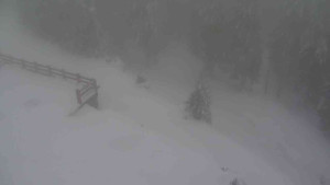 Sporthotel Kurzovní - Přístup na běžeckou trať - 22.2.2026 v 13:30 Sporthotel Kurzovní - Přístup na běžeckou trať - 22.2.2026 v 13:30