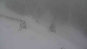 Sporthotel Kurzovní - Přístup na běžeckou trať - 22.2.2026 v 13:40 Sporthotel Kurzovní - Přístup na běžeckou trať - 22.2.2026 v 13:40