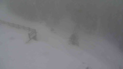 Přístup na běžeckou trať