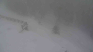 Sporthotel Kurzovní - Přístup na běžeckou trať - 22.2.2026 v 13:50 Sporthotel Kurzovní - Přístup na běžeckou trať - 22.2.2026 v 13:50