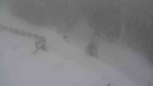 Sporthotel Kurzovní - Přístup na běžeckou trať - 22.2.2026 v 14:00 Sporthotel Kurzovní - Přístup na běžeckou trať - 22.2.2026 v 14:00