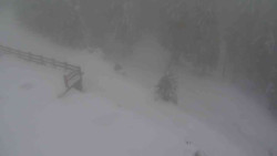 Přístup na běžeckou trať