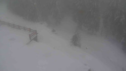 Přístup na běžeckou trať