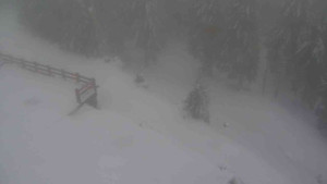 Sporthotel Kurzovní - Přístup na běžeckou trať - 22.2.2026 v 14:20 Sporthotel Kurzovní - Přístup na běžeckou trať - 22.2.2026 v 14:20