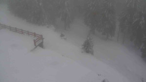 Sporthotel Kurzovní - Přístup na běžeckou trať - 22.2.2026 v 14:25 Sporthotel Kurzovní - Přístup na běžeckou trať - 22.2.2026 v 14:25