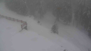 Sporthotel Kurzovní - Přístup na běžeckou trať - 22.2.2026 v 14:45 Sporthotel Kurzovní - Přístup na běžeckou trať - 22.2.2026 v 14:45