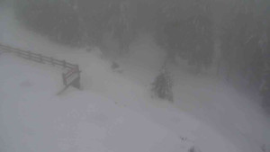 Sporthotel Kurzovní - Přístup na běžeckou trať - 22.2.2026 v 15:05 Sporthotel Kurzovní - Přístup na běžeckou trať - 22.2.2026 v 15:05