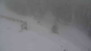 Sporthotel Kurzovní - Přístup na běžeckou trať - 22.2.2026 v 15:20 Sporthotel Kurzovní - Přístup na běžeckou trať - 22.2.2026 v 15:20