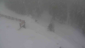 Sporthotel Kurzovní - Přístup na běžeckou trať - 22.2.2026 v 15:30 Sporthotel Kurzovní - Přístup na běžeckou trať - 22.2.2026 v 15:30