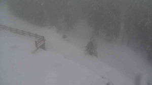 Sporthotel Kurzovní - Přístup na běžeckou trať - 22.2.2026 v 15:45 Sporthotel Kurzovní - Přístup na běžeckou trať - 22.2.2026 v 15:45