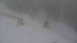 Přístup na běžeckou trať