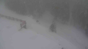 Sporthotel Kurzovní - Přístup na běžeckou trať - 22.2.2026 v 16:05 Sporthotel Kurzovní - Přístup na běžeckou trať - 22.2.2026 v 16:05