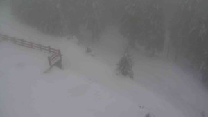 Sporthotel Kurzovní - Přístup na běžeckou trať - 22.2.2026 v 16:20 Sporthotel Kurzovní - Přístup na běžeckou trať - 22.2.2026 v 16:20