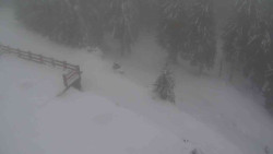 Přístup na běžeckou trať