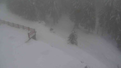 Přístup na běžeckou trať