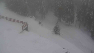 Sporthotel Kurzovní - Přístup na běžeckou trať - 22.2.2026 v 17:05 Sporthotel Kurzovní - Přístup na běžeckou trať - 22.2.2026 v 17:05