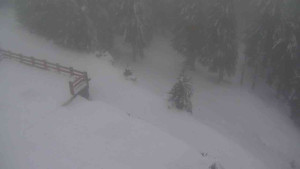 Sporthotel Kurzovní - Přístup na běžeckou trať - 22.2.2026 v 17:15 Sporthotel Kurzovní - Přístup na běžeckou trať - 22.2.2026 v 17:15