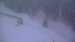 Přístup na běžeckou trať