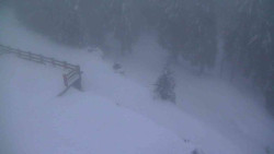 Přístup na běžeckou trať