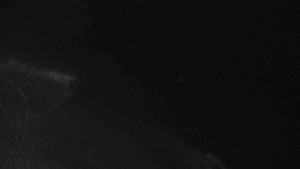 Sporthotel Kurzovní - Přístup na běžeckou trať - 22.2.2026 v 18:15 Sporthotel Kurzovní - Přístup na běžeckou trať - 22.2.2026 v 18:15