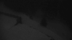 Přístup na běžeckou trať