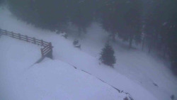 Přístup na běžeckou trať