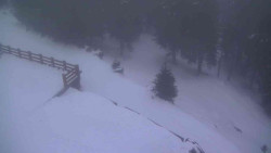 Přístup na běžeckou trať