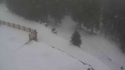 Přístup na běžeckou trať