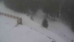 Přístup na běžeckou trať