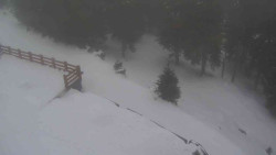 Přístup na běžeckou trať