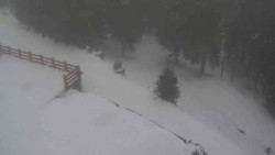 Přístup na běžeckou trať