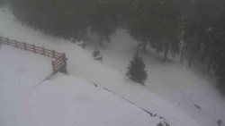 Přístup na běžeckou trať