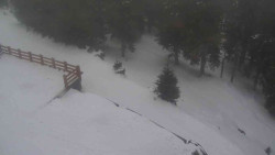 Přístup na běžeckou trať