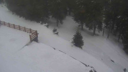 Přístup na běžeckou trať